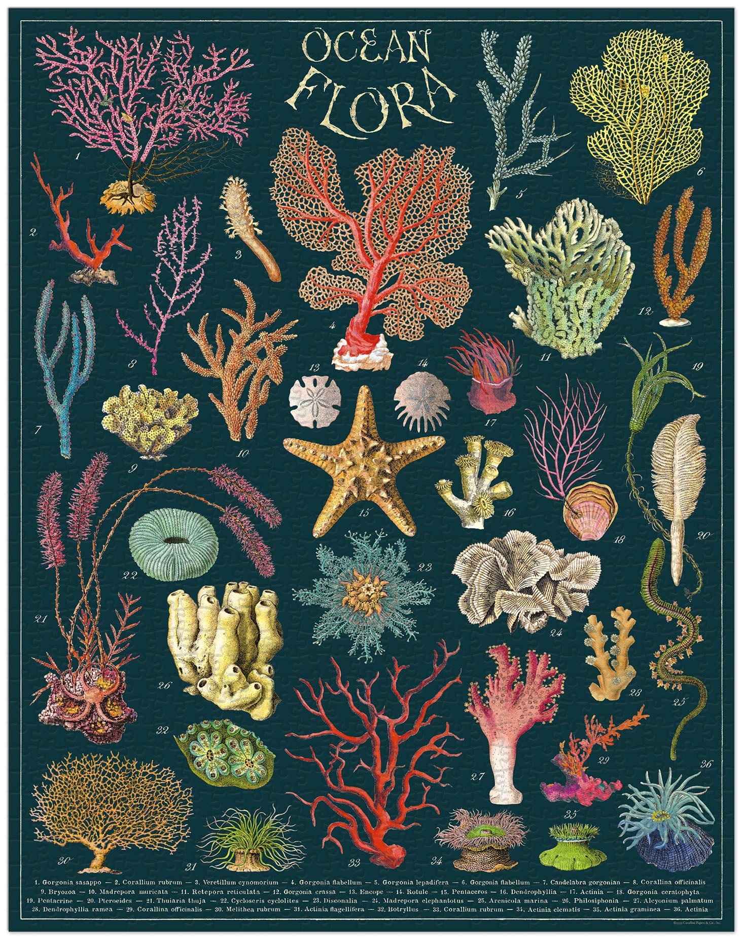 A cylindrical puzzle box for a 1000-piece vintage Ocean Flora puzzle by Cavallini Papers &amp; Co.