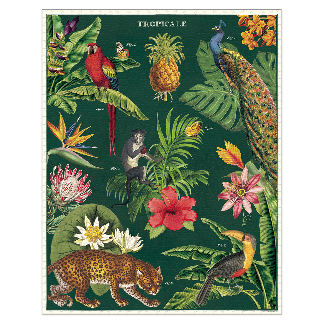 A vintage Tropicale Puzzle box with Cavallini Papers &amp; Co archives tropical bird and flower motifs.