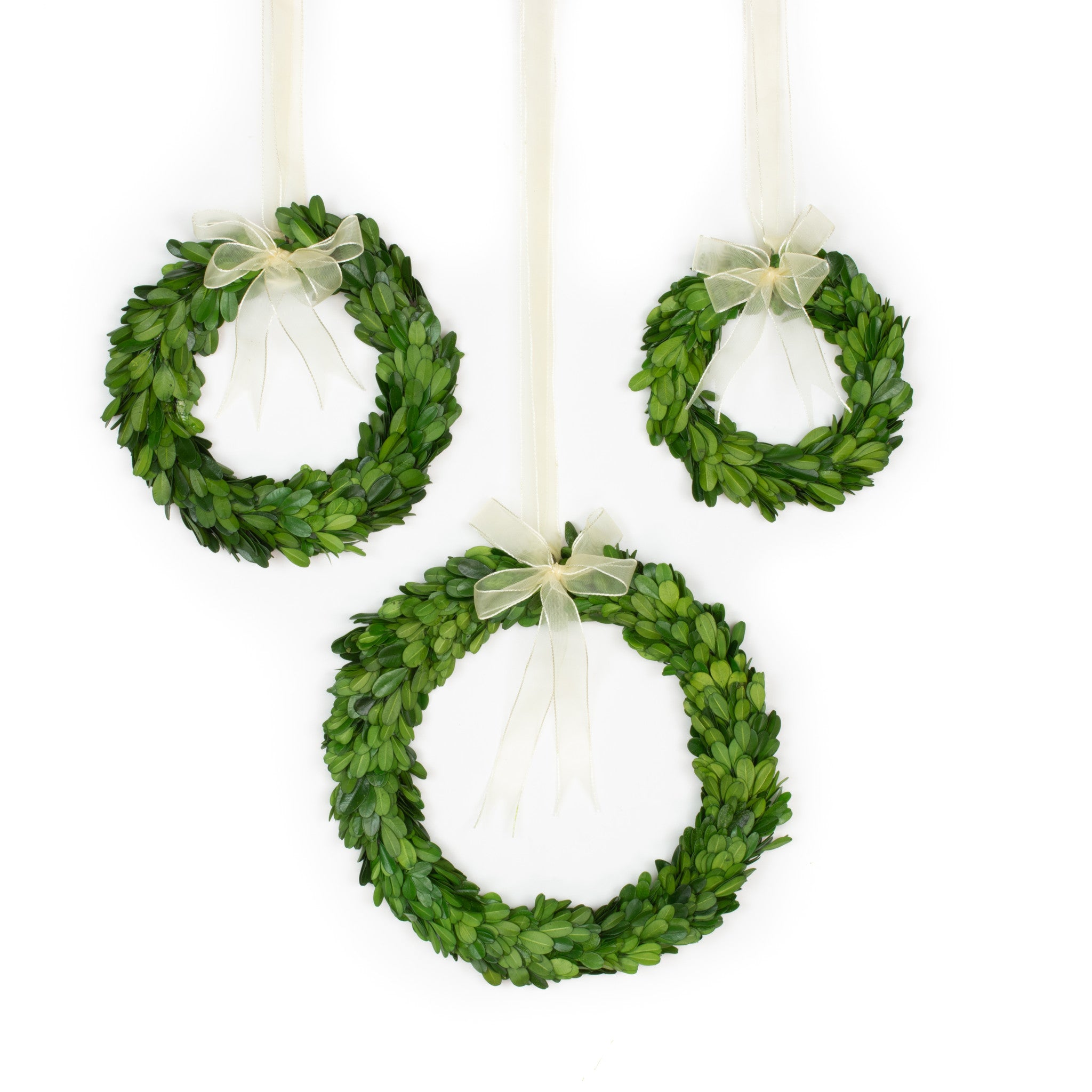 3 boxwood wreaths in 3 sizes hanging on a white background. 