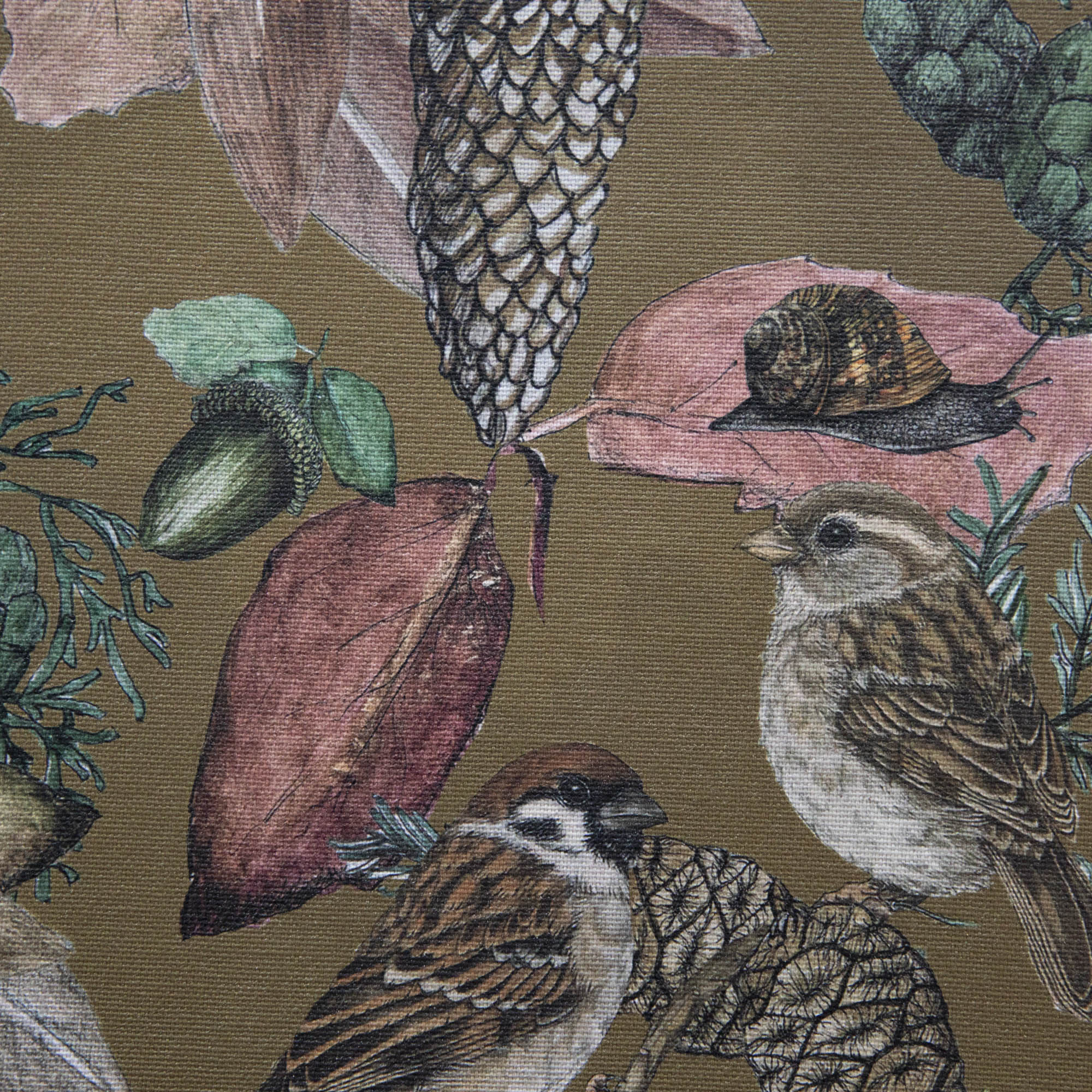 Italian Fall Bird &amp; Floral Placemats