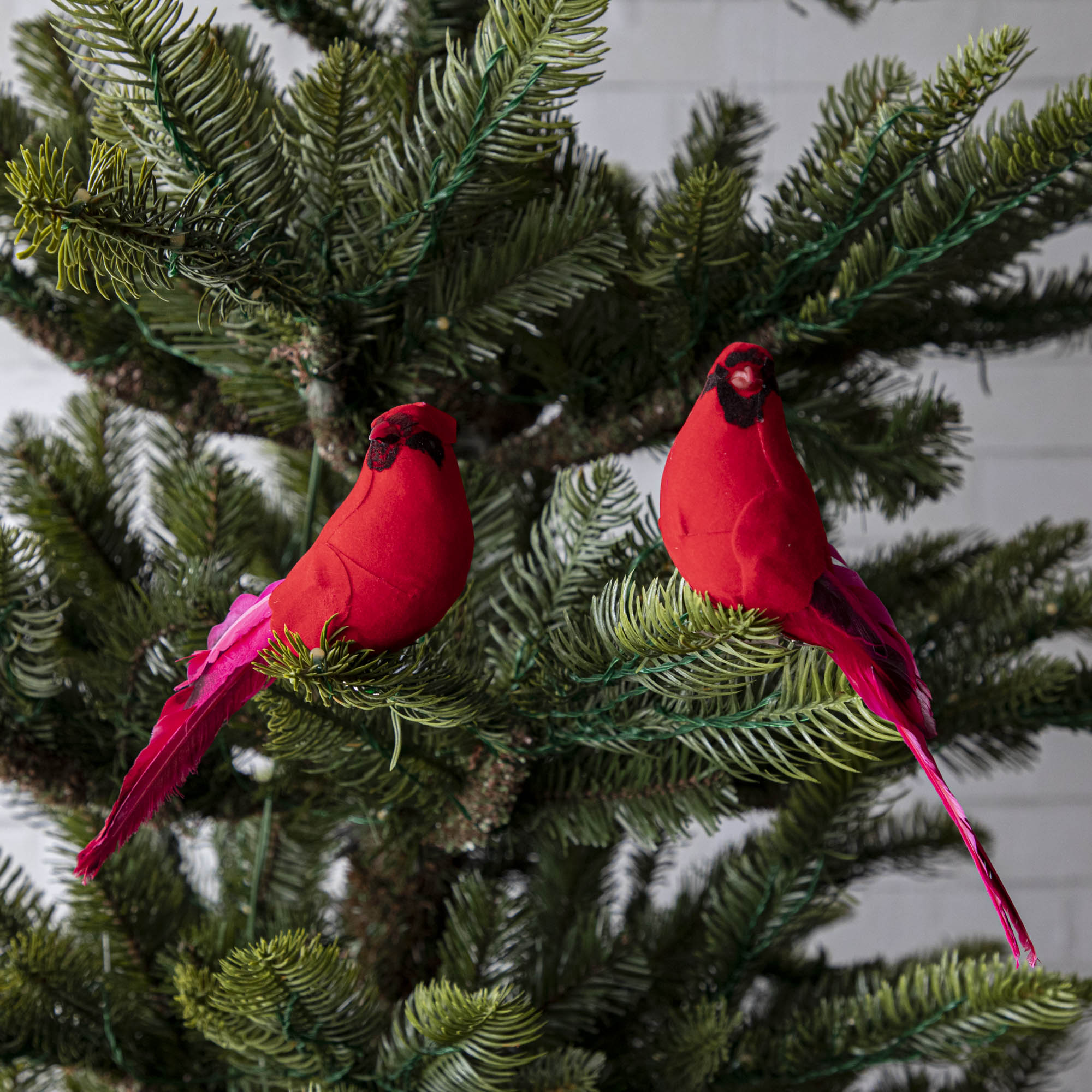 2 red cardinal ornaments clipped to a Christmas Tree.