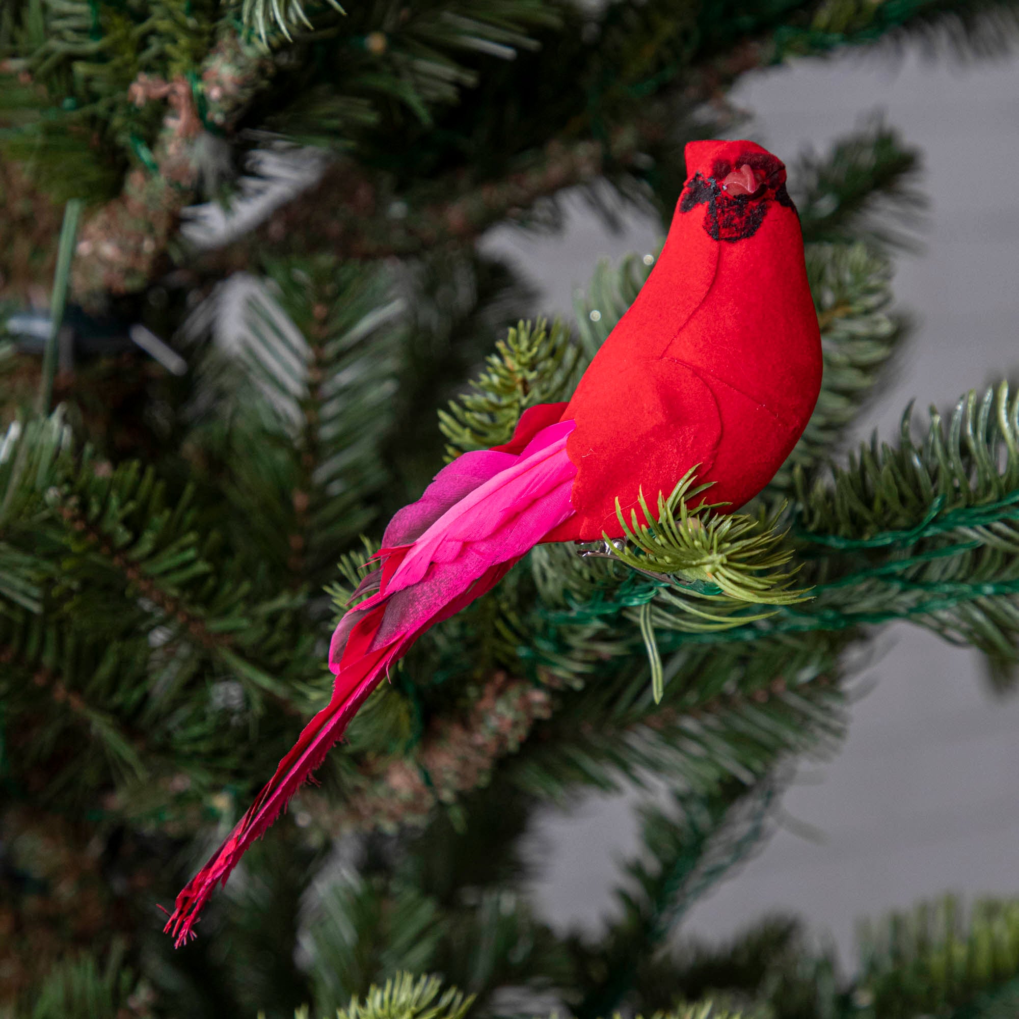 1 red cardinal ornaments clipped to a Christmas Tree.