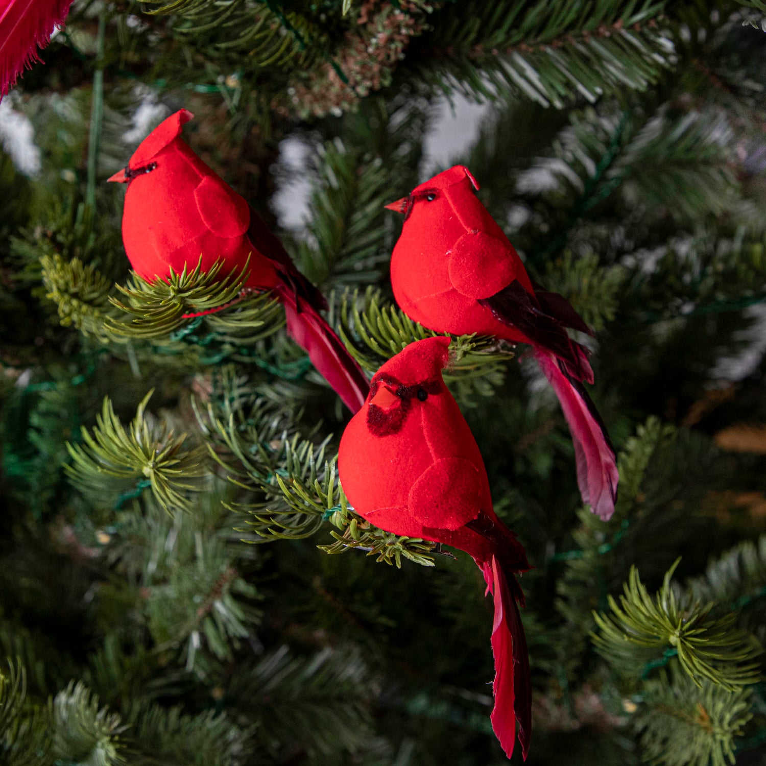 3 red cardinal ornaments clipped to a Christmas Tree.