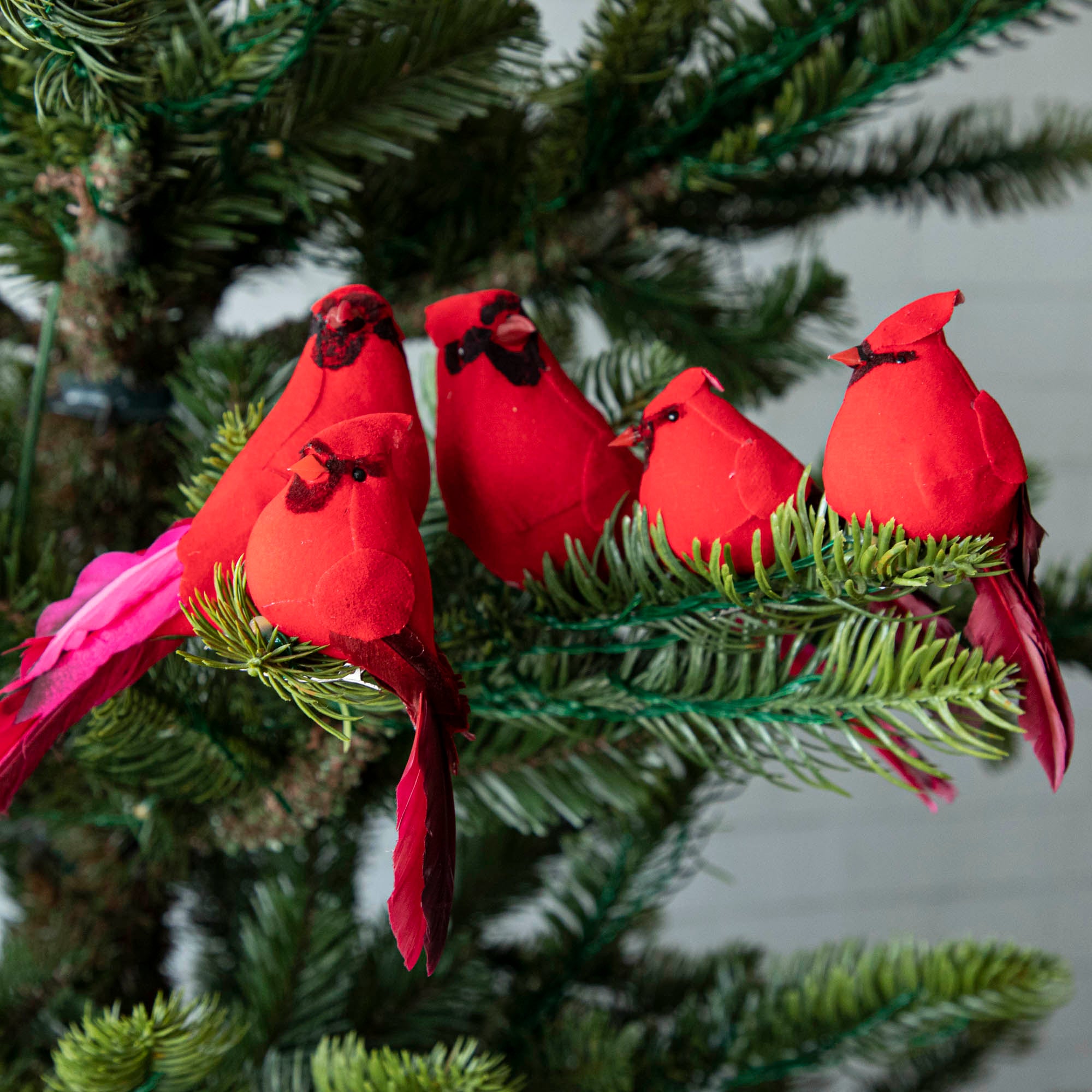 5 red cardinal ornaments clipped to a Christmas Tree.