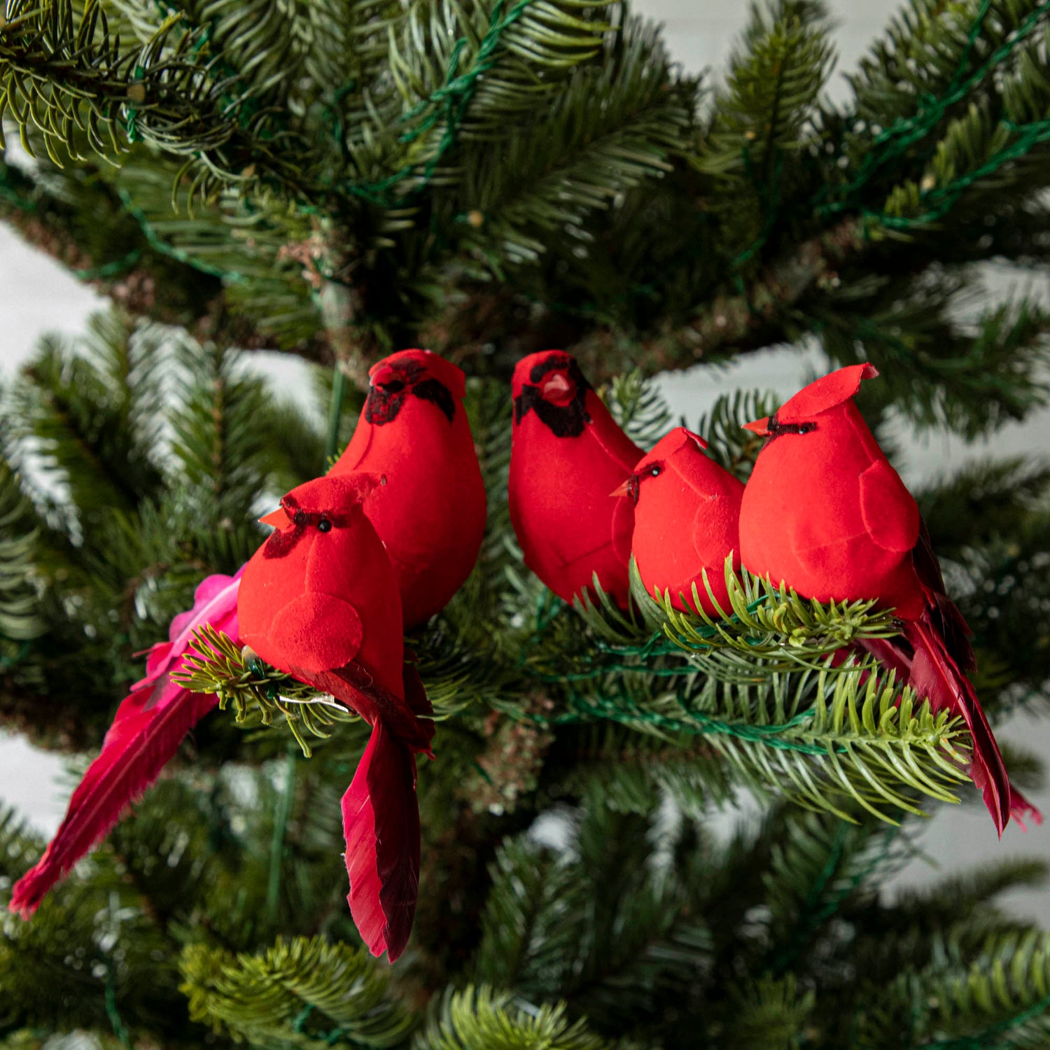 5 red cardinal ornaments clipped to a Christmas Tree.