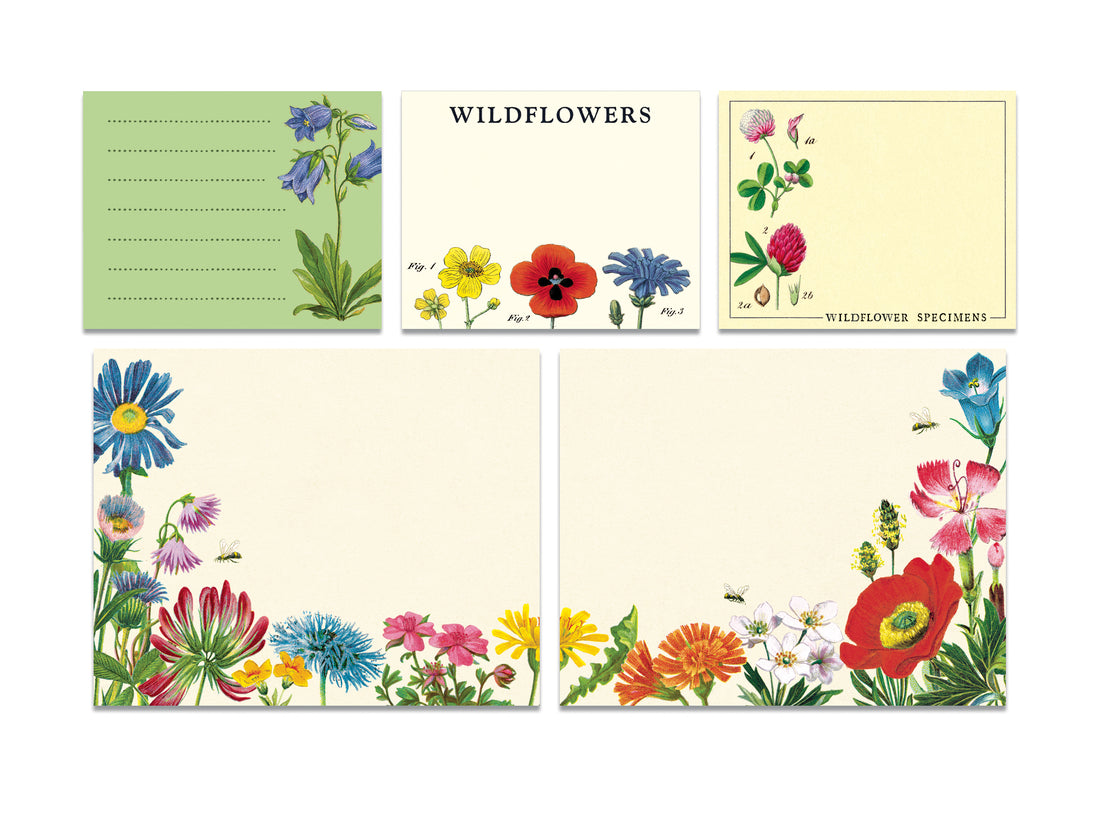 Cavallini Papers &amp; Co Wildflowers Sticky Notes, featuring various wildflower illustrations.