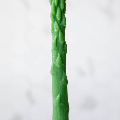 Green Asparagus Beeswax Taper Candle Set