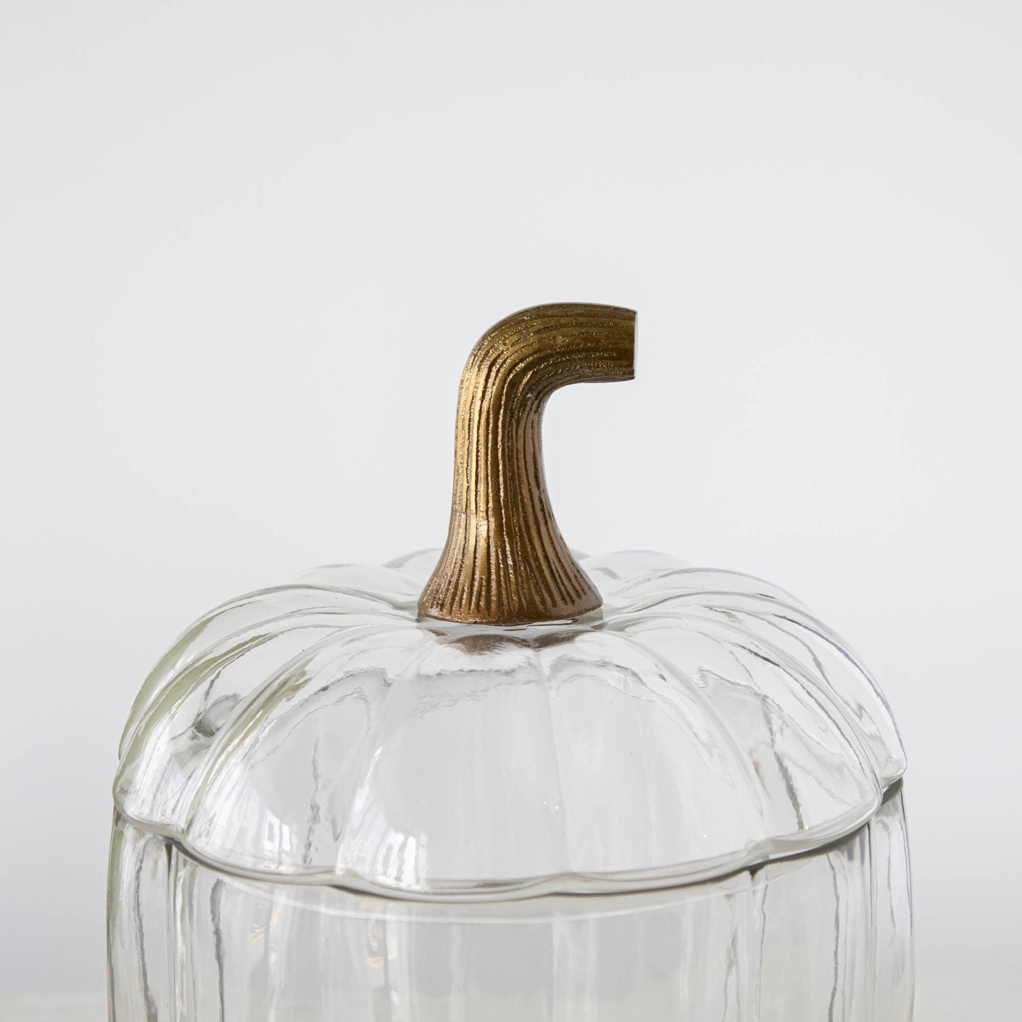 A close up of the small Translucent Pumpkin Terrarium with a detailed antique bronze pumpkin stem lid.