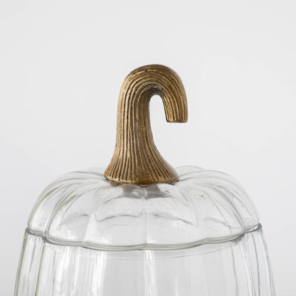 A close up of the medium Translucent Pumpkin Terrarium with a curved antique bronze stem lid.