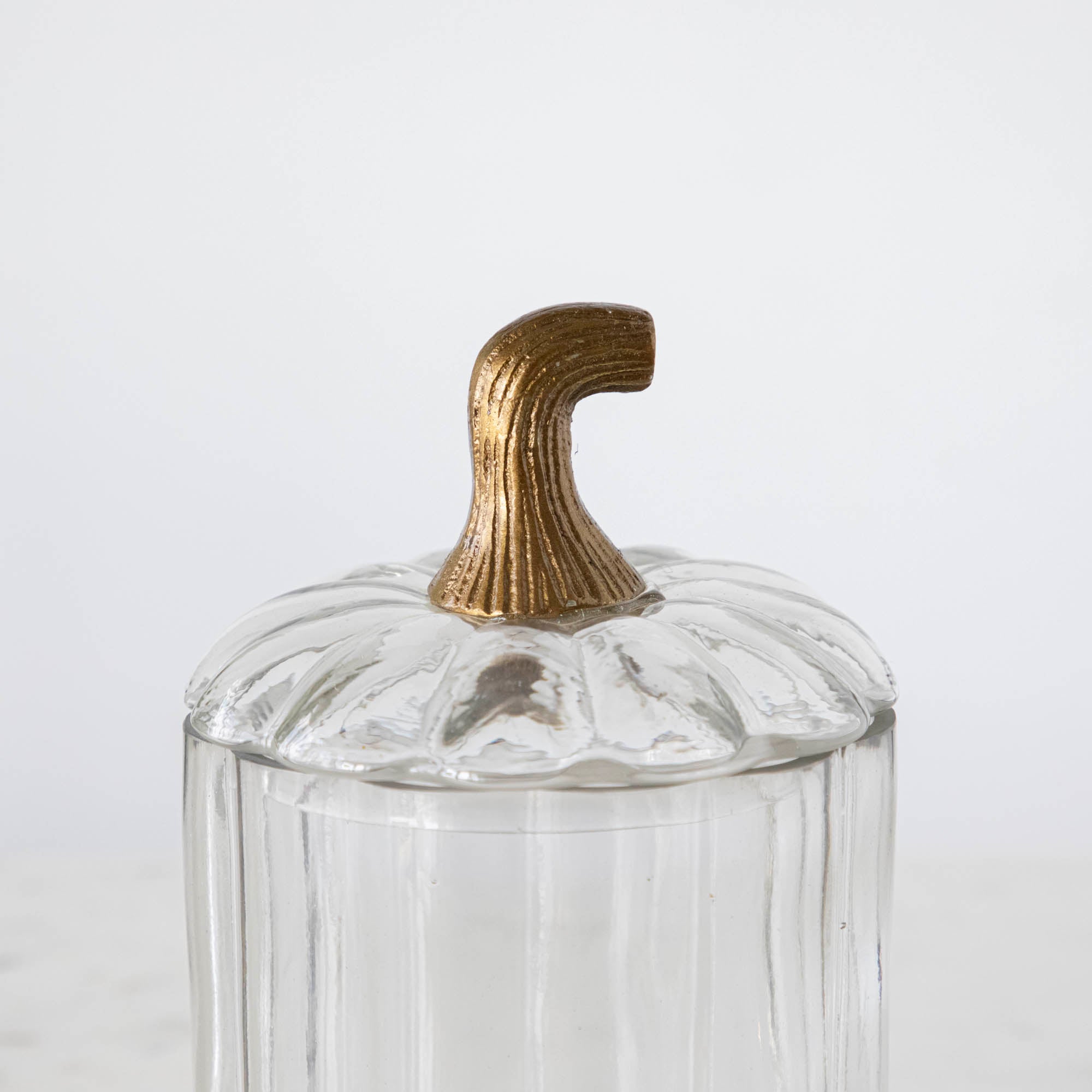 A close up of the large Translucent Pumpkin Terrarium with a curved antique bronze stem lid.