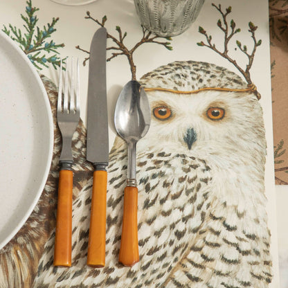 Winter Owls Placemat