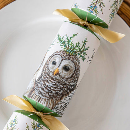 Winter Owls Crackers