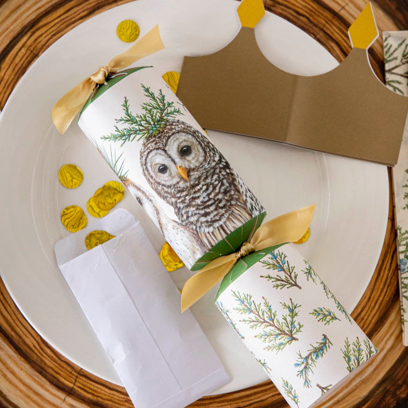 Winter Owls Crackers