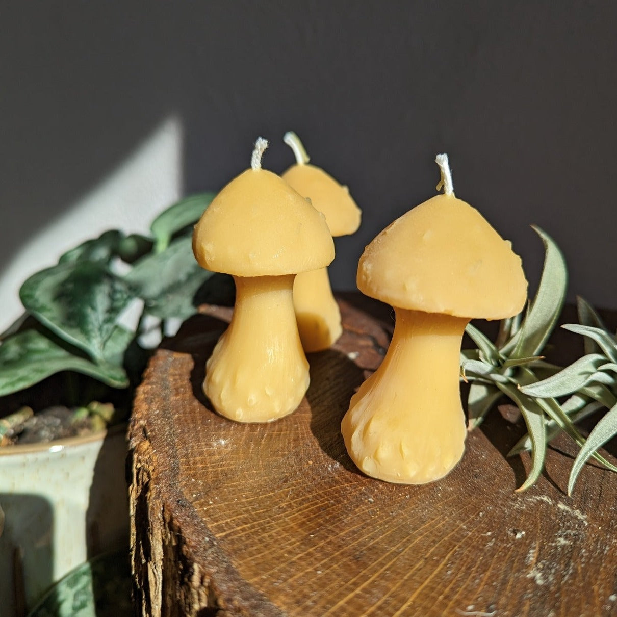 3 mushroom candles on a wood stump