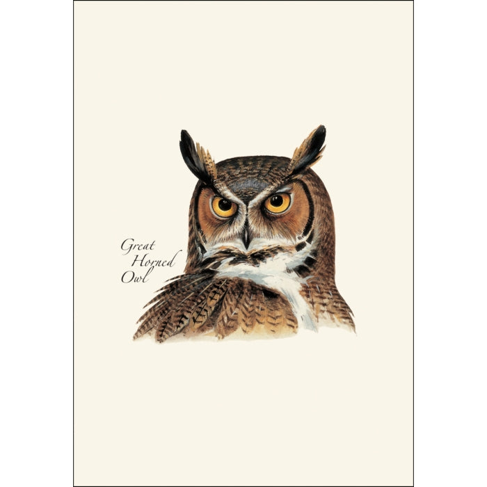 Great Horned Owl Card