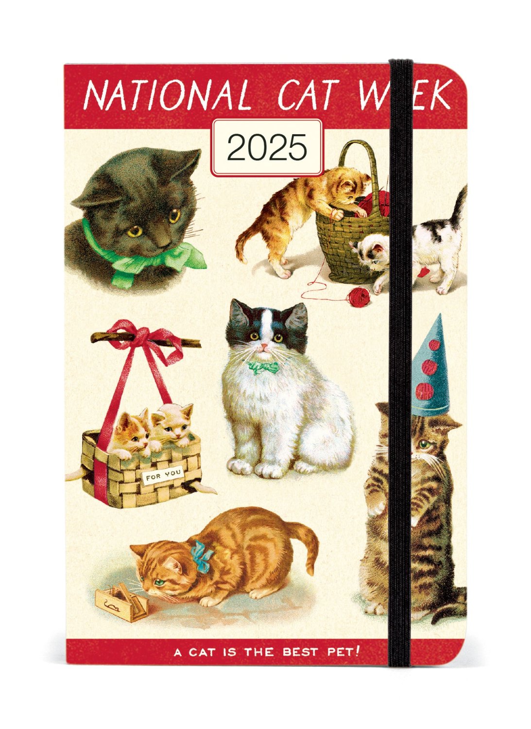 Cat 2025 Weekly Planner