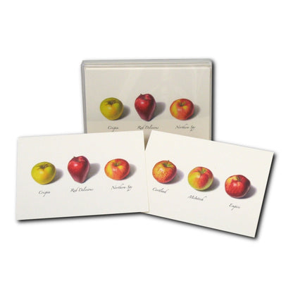 Two sets of Earth Sky &amp; Water Apple Assortment Boxed Set of Cards, made from recycled paper, featuring illustrated varieties of apples with labels identifying each type by Emily Damstra.