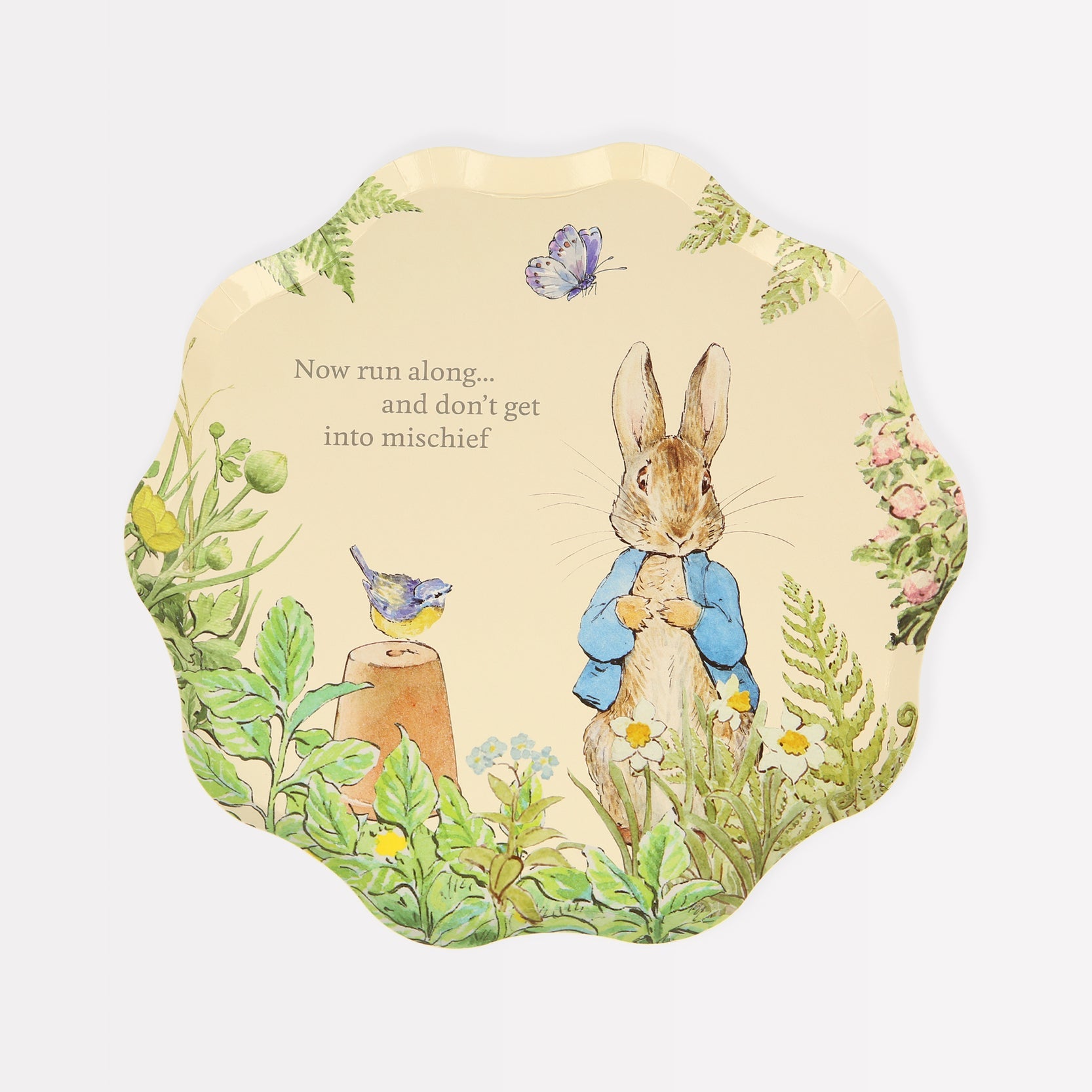 A party table plate with an image of Peter Rabbit and a bird in vintage designs from the Peter Rabbit in the Garden Plates by Meri Meri.