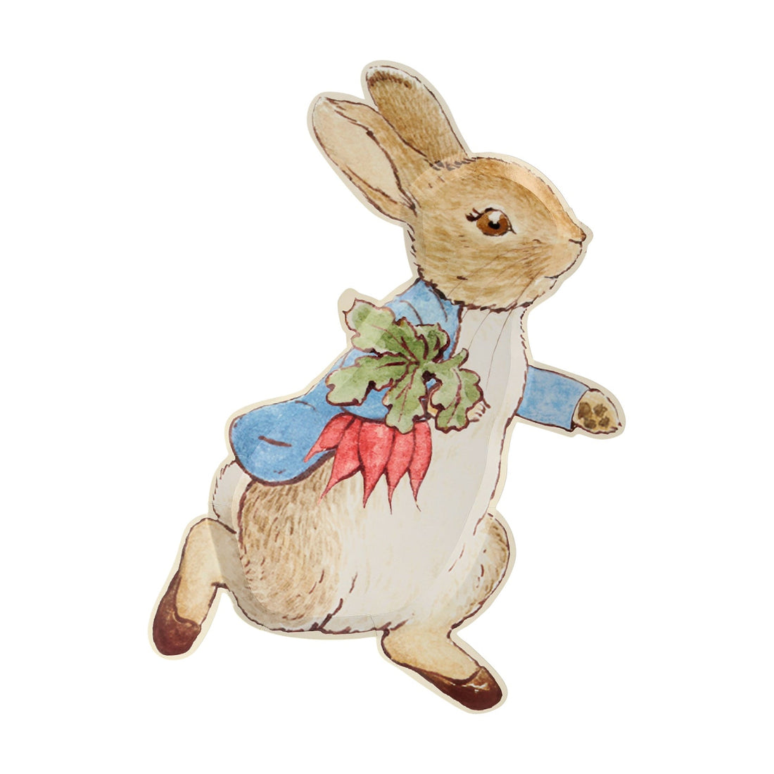 Peter Rabbit Shaped Paper Plate