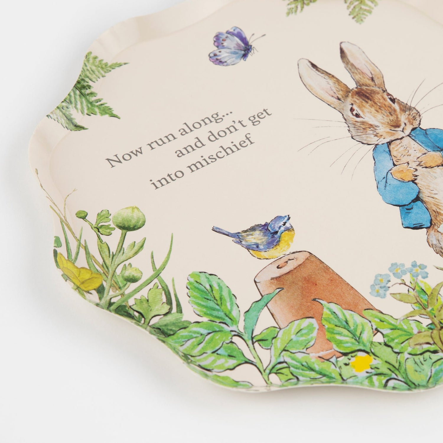 A party table plate with an image of Peter Rabbit and a bird in vintage designs from the Peter Rabbit in the Garden Plates by Meri Meri.