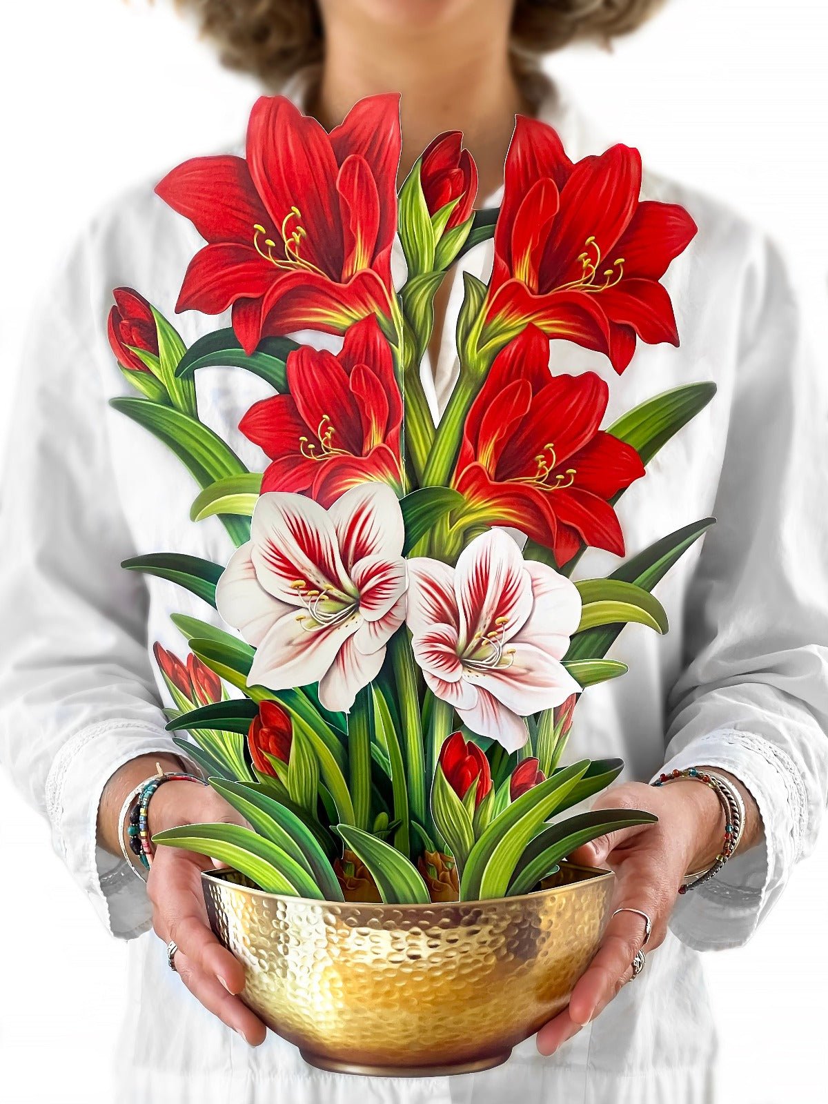 Person holding Scarlet Amaryllis Pop up Card