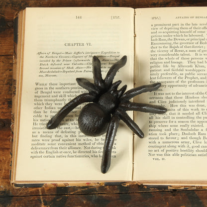 A frightful addition, a realistic HomArt Cast Iron Spider in Antique Black resting on an open vintage book&