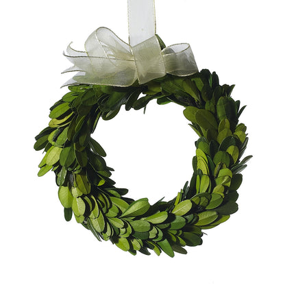 Mini boxwood circle wreath with a cream ribbon hanging.