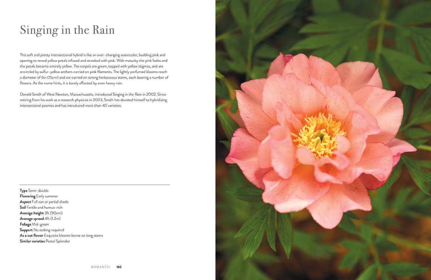 inside page of Peonies book