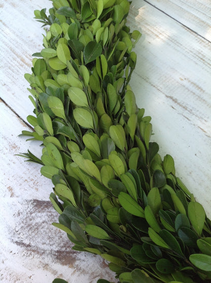 Preserved Boxwood Country Manor Garland