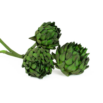 close up of 3 dried green artichokes