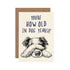 A funny ink illustration of a dog covering its eyes, with the caption "You&