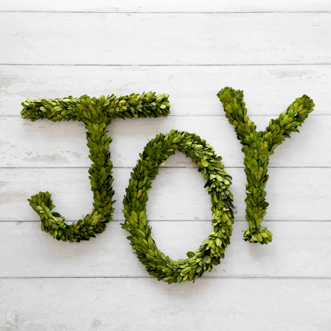 This simple design of boxwood features the word &quot;JOY&quot; in 12 inch boxwood letters in J, O and Y.