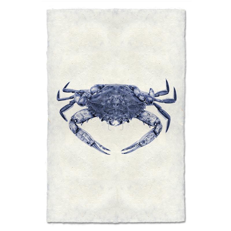 Blue Crab Print