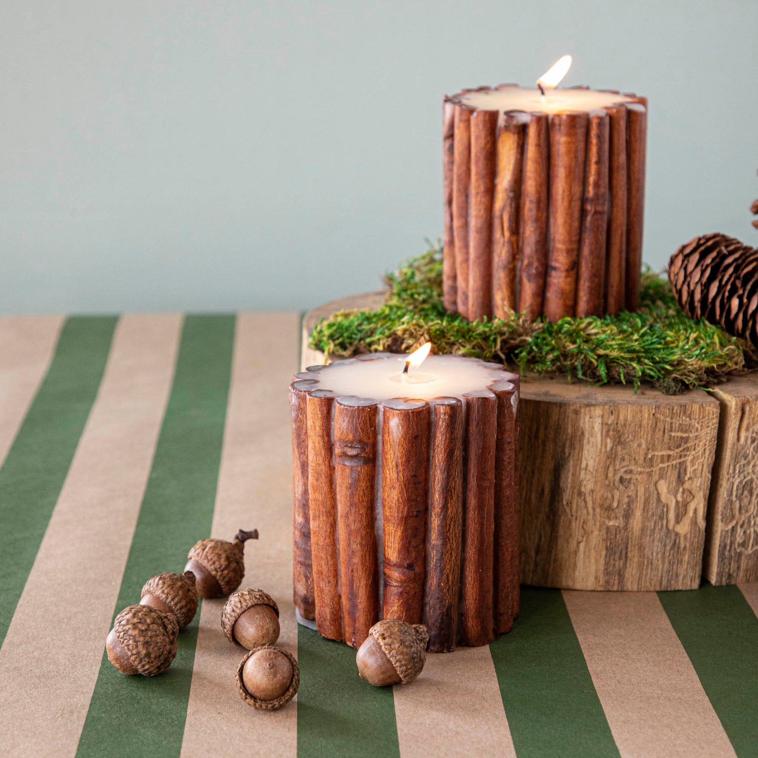 Cinnamon Stick Scented Pillar Candles lit up, propped on a wooden stump with moss, pinecones and corns surrounded them.