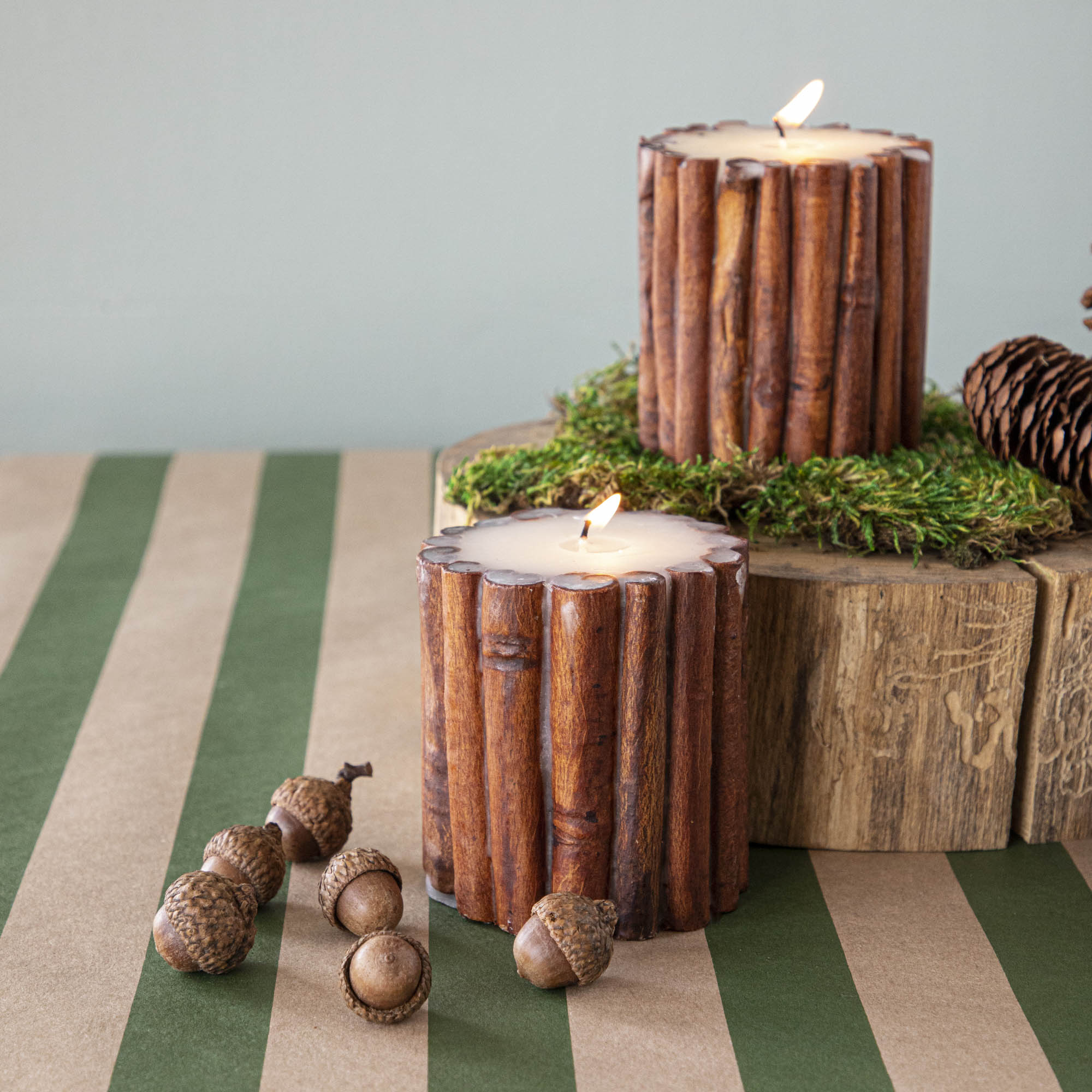 Cinnamon Stick Scented Pillar Candles lit up, propped on a wooden stump with moss, pinecones and corns surrounded them.