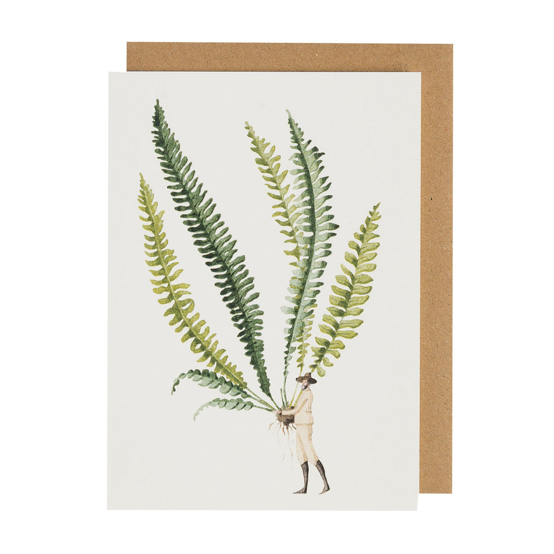 An illustration of fern leaves on a Hester &amp; Cook Fabulous Ferns 1 Greeting Card.