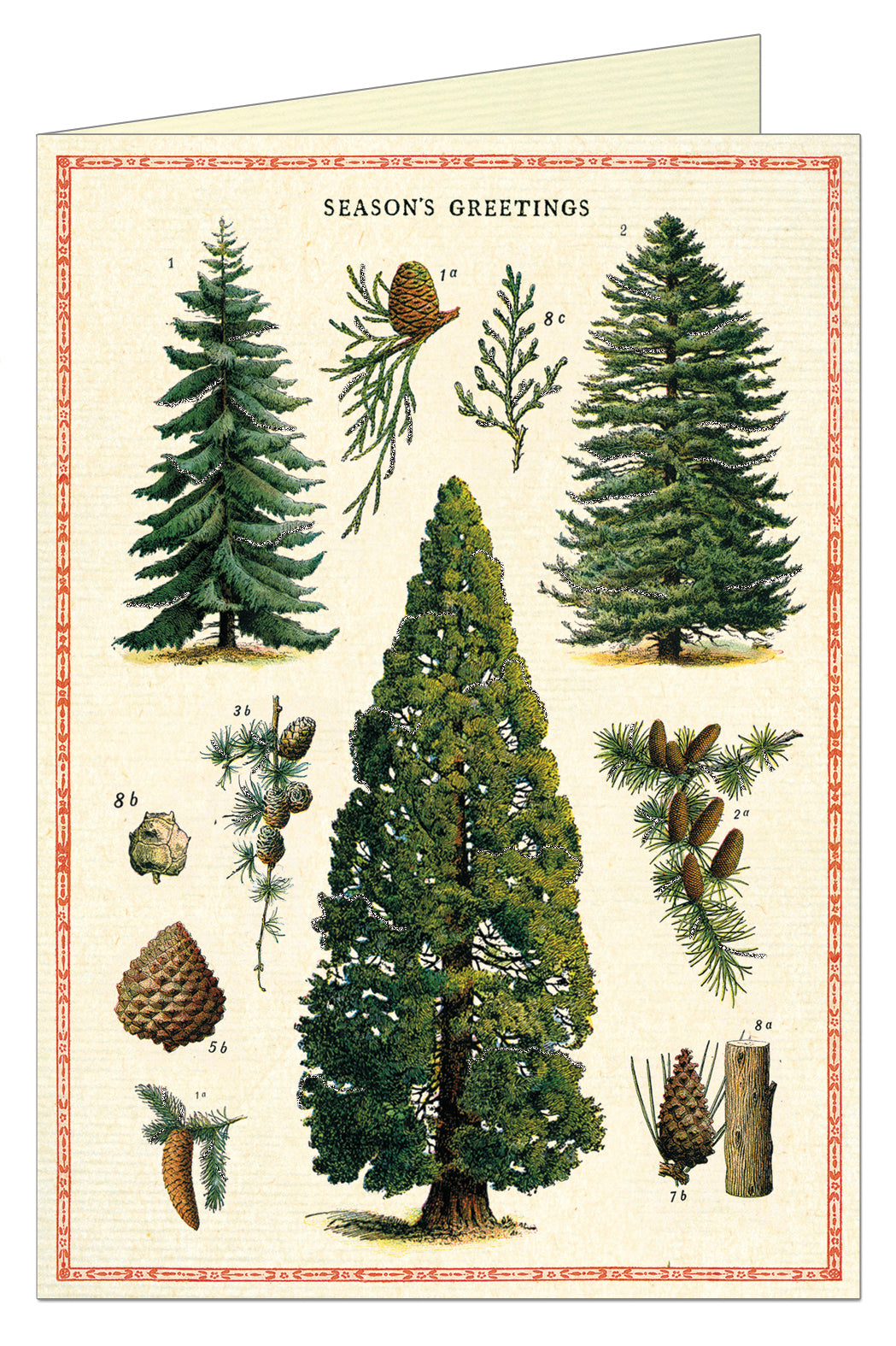 Greeting card with vintage image of various fir trees on it saying Season&