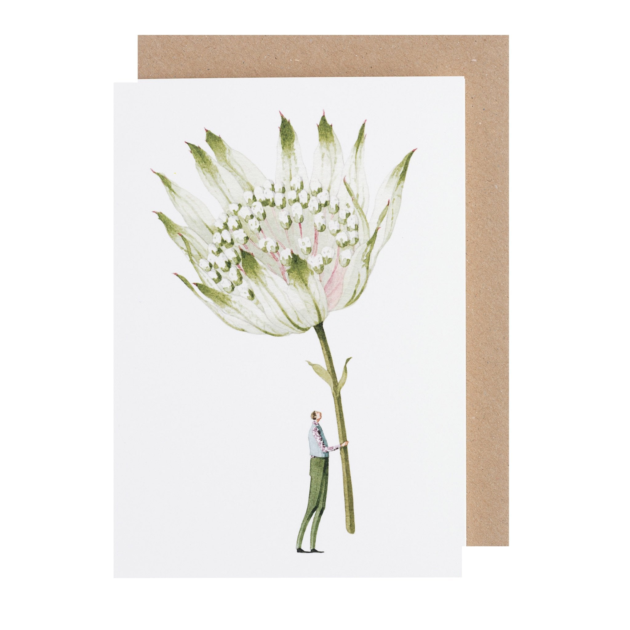 Astrantia Greeting Card featuring artwork of a man holding a gigantic Astrantia flower by Laura Stoddart from Hester &amp; Cook.