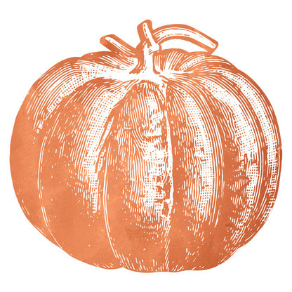 A die-cut, engraving-style illustration of an orange pumpkin printed on white.