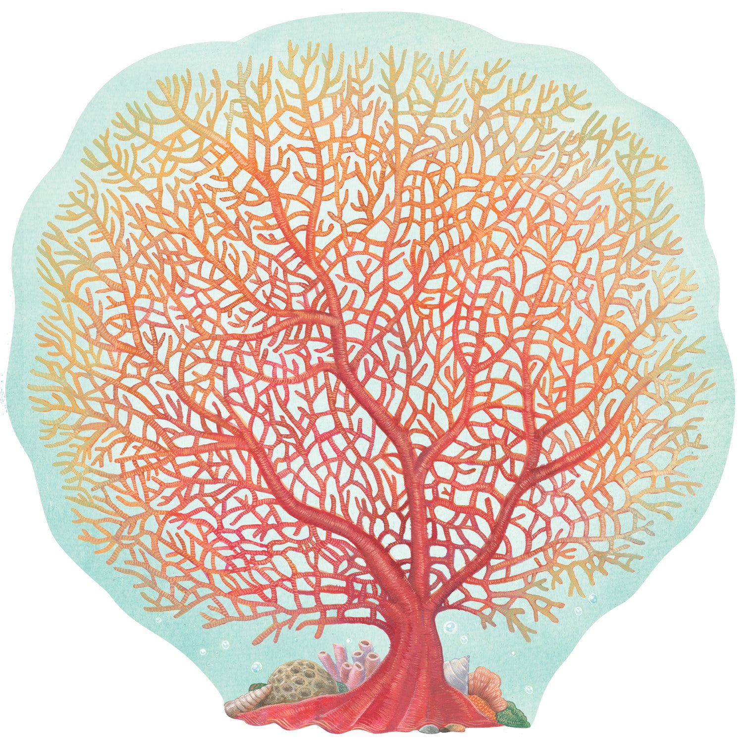 A vibrant illustration of an orange and yellow coral fan on a light seafoam background.