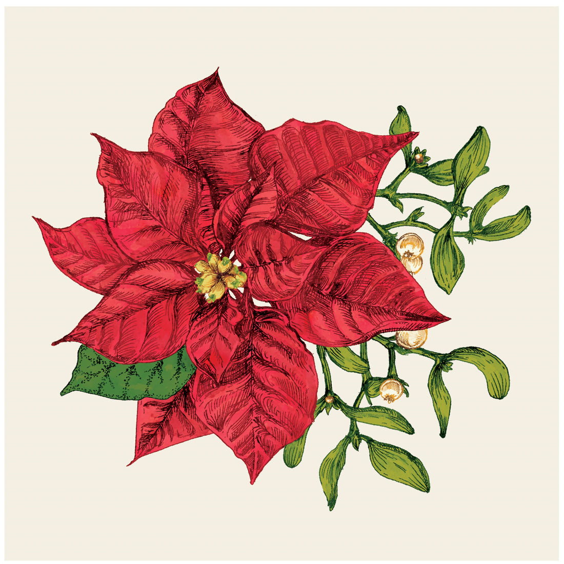 A square, cream cocktail napkin featuring a vintage-style illustration of a red poinsettia bloom with green and white mistletoe. 
