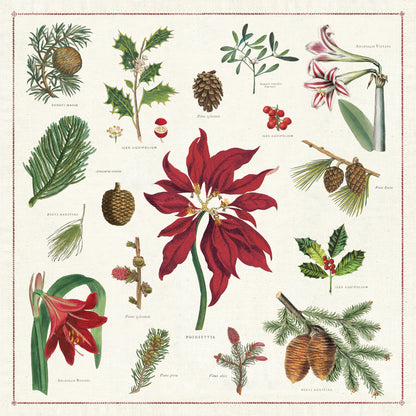 Cloth napkin with various Holiday botanical images on it.