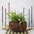 A Large Pinecone Bowl filled with greenery and ornaments, surrounded by stick taper candles, on a tabletop.