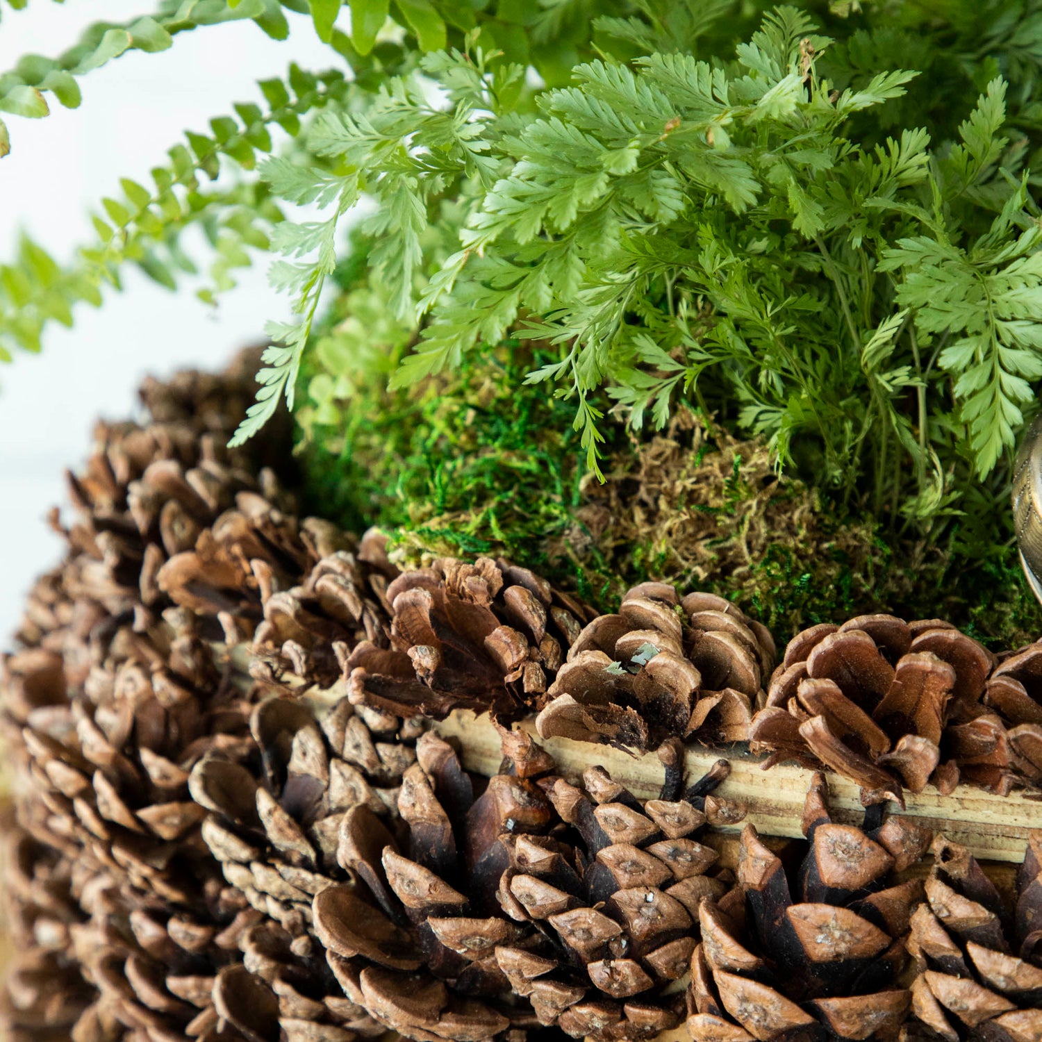 A close up of the pinecone bowl edge to show the pinecone details.