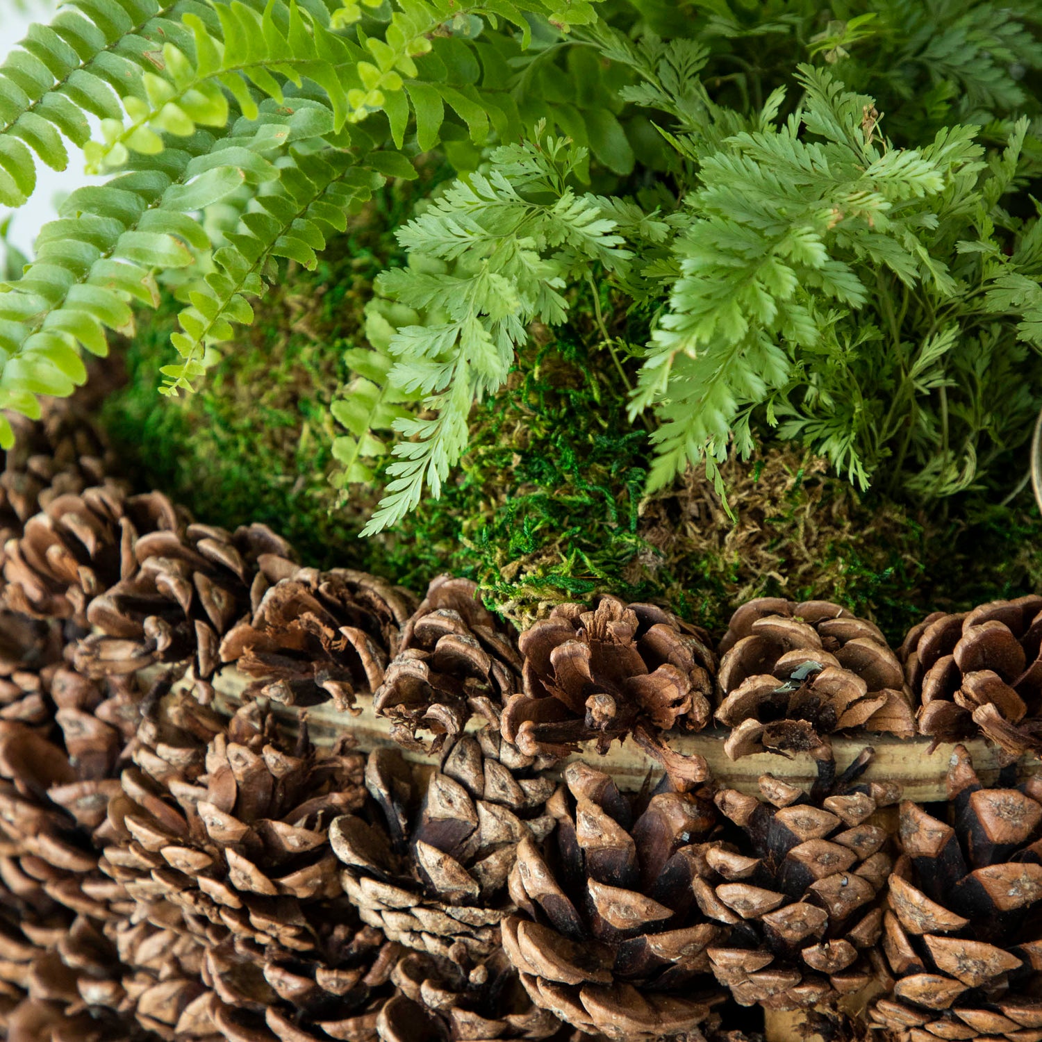 A close up of the pinecone bowl edge to show the pinecone details.