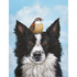 A black and white dog with a bird on its head, featured in Hester & Cook&