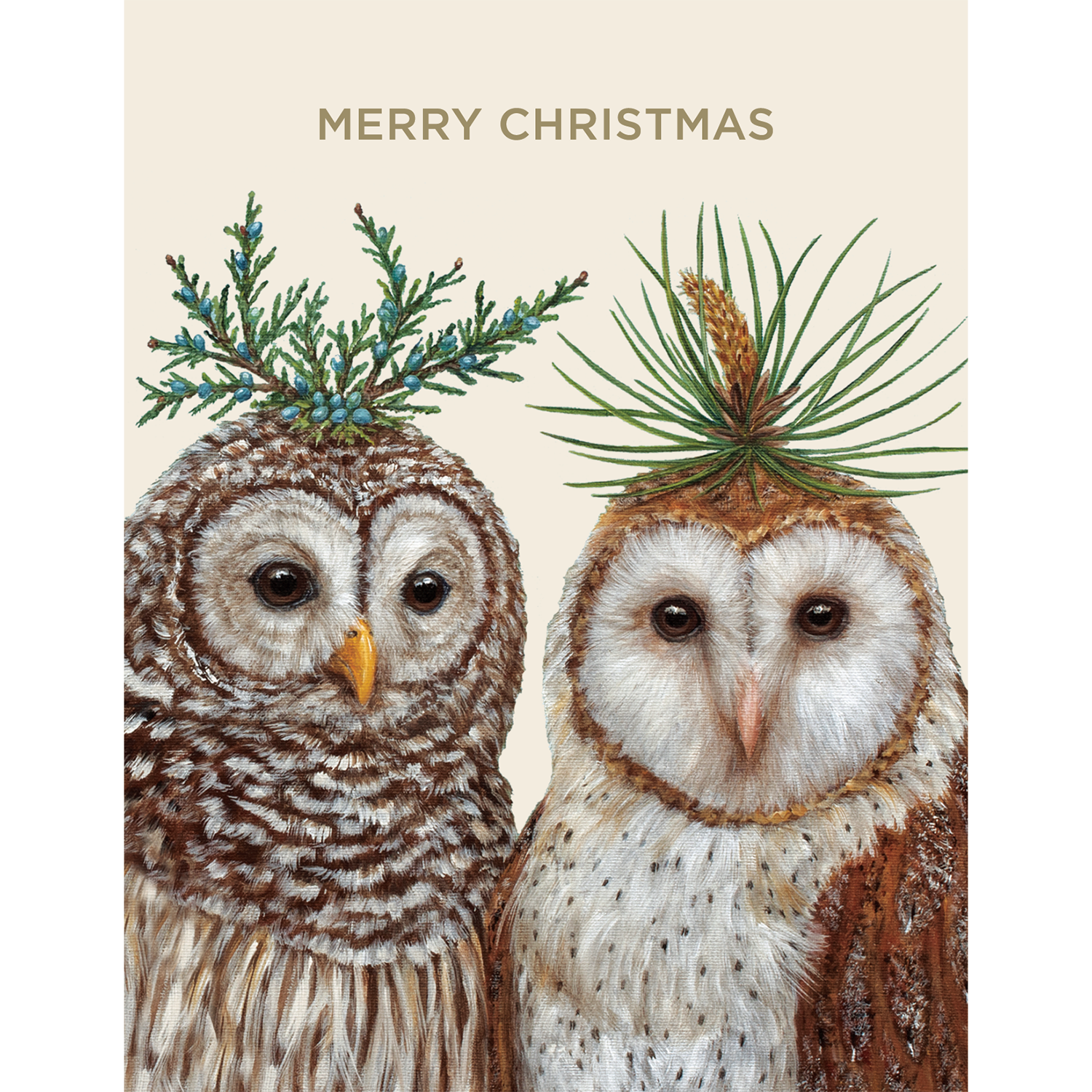 Winter Owls Boxed Set Cards