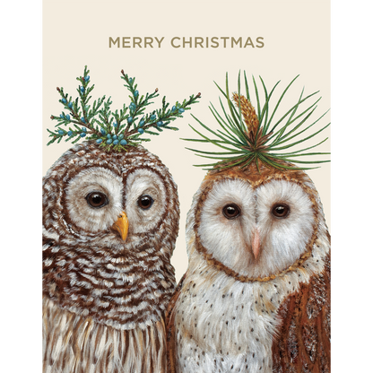 Winter Owls Boxed Set Cards