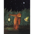 A whimsical illustration of a brown bear carrying a lit lantern through the dark forest under the starry night sky, turned to look at an owl flying into the scene.