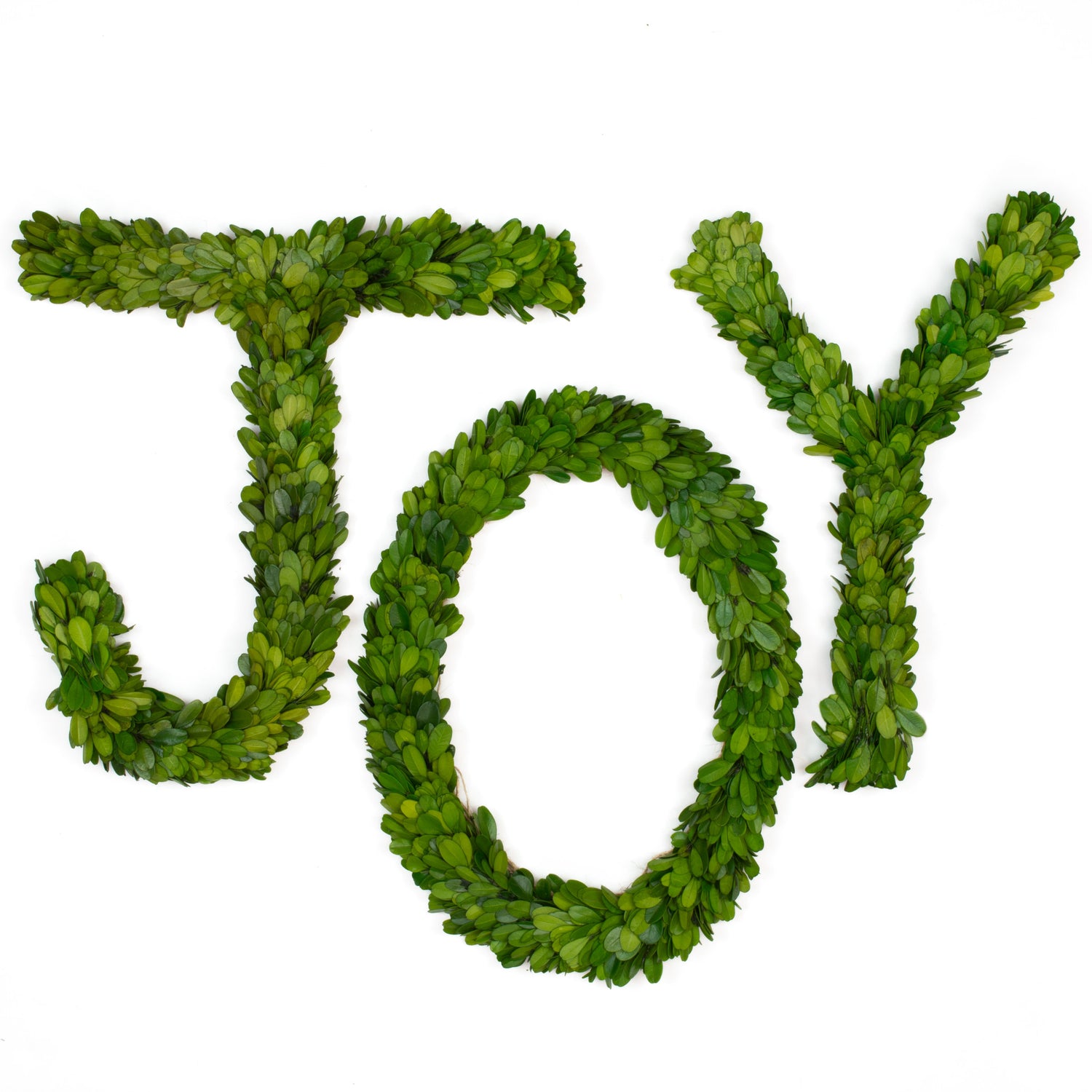 This simple design of boxwood features the word &quot;JOY&quot; in 12 inch boxwood letters in J, O and Y.